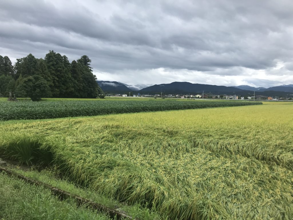 市街化調整区域でも家は建ちます ぶどう不動産